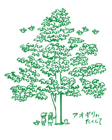アオギリの木.jpg