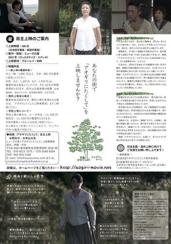 アオギリ裏 .jpg